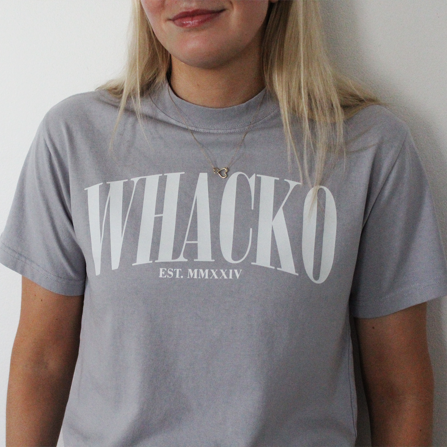 Arch Faded Blue Tee